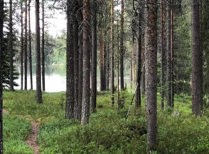 Daire Retkeilijaen Ruka